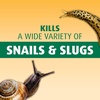 image:imageOrtho BugGeta Snail amp Slug Killer2 2 lbs2 lb