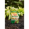 image:imageOrtho BugGeta Snail amp Slug Killer2 2 lbs6 lb