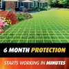 image:imageOrtho Fire Ant Killer Mound Treatment1 3 lbsBroadcast Granules