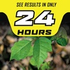 image:imageOrtho GroundClear Poison Ivy and Tough Brush Killer1  Weed Killer Concentrate Kills Poison Ivy and Poison Oak to the Root  32 fl oz133 gal
