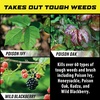 image:imageOrtho GroundClear Poison Ivy and Tough Brush Killer1  Weed Killer Concentrate Kills Poison Ivy and Poison Oak to the Root  32 fl oz133 gal