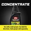 image:imageOrtho GroundClear Poison Ivy and Tough Brush Killer1  Weed Killer Concentrate Kills Poison Ivy and Poison Oak to the Root  32 fl oz32 oz