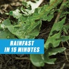 image:imageOrtho GroundClear Weed amp Grass Killer Super Concentrate1 32 fl ozConcentrate  05 gal Bundle