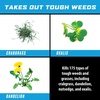image:imageOrtho GroundClear Weed amp Grass Killer Super Concentrate1 32 fl ozConcentrate  05 gal Bundle