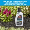 image:imageOrtho GroundClear Weed amp Grass Killer Super Concentrate1 32 fl ozConcentrate  32 oz