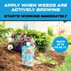 image:imageOrtho GroundClear Weed amp Grass Killer Super Concentrate1 32 fl ozConcentrate  Refill Pouch