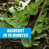 image:imageOrtho GroundClear Weed amp Grass Killer Super Concentrate1 32 fl ozReady to Use  1 gal Refill