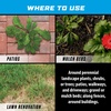image:imageOrtho GroundClear Weed amp Grass Killer Super Concentrate1 32 fl ozReady to Use  1 gal Refill
