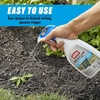 image:imageOrtho GroundClear Weed amp Grass Killer Super Concentrate1 32 fl ozReady to Use  24 oz 2Pack