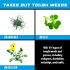 image:imageOrtho GroundClear Weed amp Grass Killer Super Concentrate1 32 fl ozReady to Use  24 oz 2Pack