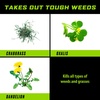 image:imageOrtho GroundClear Weed amp Grass Killer2 Concentrate 32 fl ozConcentrate 2Pack