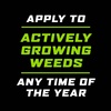image:imageOrtho GroundClear Weed amp Grass Killer2 Concentrate 32 fl ozConcentrate 2Pack