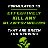 image:imageOrtho GroundClear Weed amp Grass Killer2 Concentrate 32 fl ozConcentrate 2Pack