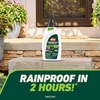 image:imageOrtho GroundClear Weed amp Grass Killer2 Concentrate 32 fl ozConcentrate Single