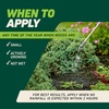 image:imageOrtho GroundClear Weed amp Grass Killer2 Concentrate 32 fl ozConcentrate Single