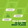 image:imageOrtho GroundClear Weed amp Grass Killer2 Concentrate 32 fl ozConcentrate Single
