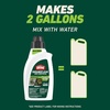 image:imageOrtho GroundClear Weed amp Grass Killer2 Concentrate 32 fl ozConcentrate Single