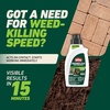 image:imageOrtho GroundClear Weed amp Grass Killer2 Concentrate 32 fl ozConcentrate Single