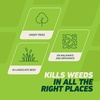 image:imageOrtho GroundClear Weed amp Grass Killer2 Concentrate 32 fl ozLarge Comfort Wand Single