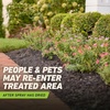 image:imageOrtho GroundClear Weed amp Grass Killer2 Concentrate 32 fl ozLarge Comfort Wand Single
