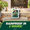 image:imageOrtho GroundClear Weed amp Grass Killer2 Concentrate 32 fl ozLarge Comfort Wand Single