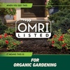 image:imageOrtho GroundClear Weed amp Grass Killer2 Concentrate 32 fl ozLarge Comfort Wand Single