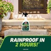 image:imageOrtho GroundClear Weed amp Grass Killer2 Concentrate 32 fl ozReady to Use Spray 2Pack