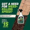 image:imageOrtho GroundClear Weed amp Grass Killer2 Concentrate 32 fl ozReady to Use Spray 2Pack