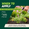 image:imageOrtho GroundClear Weed amp Grass Killer2 Concentrate 32 fl ozReady to Use Spray 2Pack