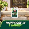 image:imageOrtho GroundClear Weed amp Grass Killer2 Concentrate 32 fl ozRefill Single
