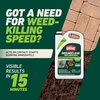 image:imageOrtho GroundClear Weed amp Grass Killer2 Concentrate 32 fl ozRefill Single