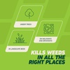 image:imageOrtho GroundClear Weed amp Grass Killer2 Concentrate 32 fl ozSmall Comfort Wand