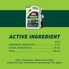 image:imageOrtho GroundClear Weed amp Grass Killer2 Concentrate 32 fl ozSmall Comfort Wand Single