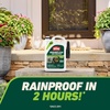 image:imageOrtho GroundClear Weed amp Grass Killer2 Concentrate 32 fl ozTrigger Sprayer Single