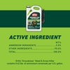 image:imageOrtho GroundClear Weed amp Grass Killer2 Concentrate 32 fl ozTrigger Sprayer Single