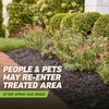 image:imageOrtho GroundClear Weed amp Grass Killer2 Concentrate 32 fl ozTrigger Sprayer Single