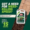 image:imageOrtho GroundClear Weed amp Grass Killer2 Concentrate 32 fl ozTrigger Sprayer Single