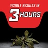 image:imageOrtho GroundClear Year Long Vegetation Killer2 Concentrate 2 gal1 gal Pack of 4
