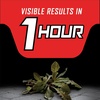 image:imageOrtho GroundClear Year Long Vegetation Killer2 Concentrate 2 gal1 gal Pack of 4