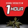 image:imageOrtho GroundClear Year Long Vegetation Killer2 Concentrate 2 gal133 gal