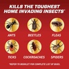 image:imageOrtho Home Defense Insect Killer for Cracks amp Crevices 16 ozSmall Refill