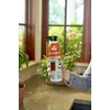 image:imageOrtho Home Defense Insect Killer for Cracks amp Crevices 16 ozSpray Foam