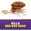 image:imageOrtho Home Defense Max Bed Bug Trap 2 TrapsAerosol
