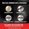 image:imageOrtho Orthene Ant Killer Ant Bait 12 Bait Stations24 Bait Stations