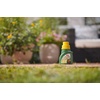 image:imageOrtho Tree amp Shrub Fruit Tree Spray Concentrate 16 fl oz1 Pack