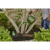 image:imageOrtho Tree amp Shrub Fruit Tree Spray Concentrate 16 fl oz6 Pack