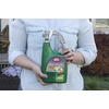 image:imageOrtho Weed B Gon Chickweed Clover and Oxalis Killer for Lawns Concentrate Kills Creeping Charlie 16 fl Oz32 OZ