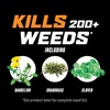 image:imageOrtho WeedClear Lawn Weed Killer ReadytoUse 1 gal1Pack