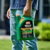 image:imageOrtho WeedClear Lawn Weed Killer ReadytoUse 1 gal1Pack