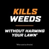 image:imageOrtho WeedClear Lawn Weed Killer ReadytoUse 1 gal1Pack